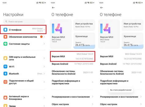  Подготовка устройства к разблокировке на iOS 9.3.5 для iPad Mini 