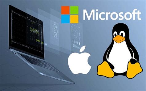  Подробная инструкция для операционных систем Windows, macOS и Linux 