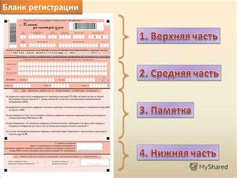  Полезные практики для успешной регистрации квитанций 