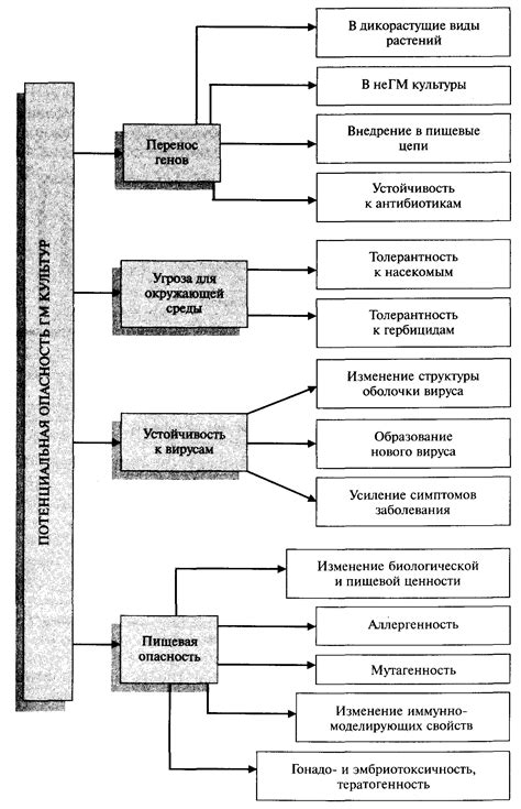  Потенциальные опасности применения административной панели Ammyy 