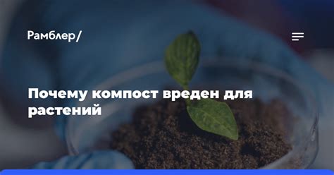  Предупреждаем возникновение несанкционированных растений 