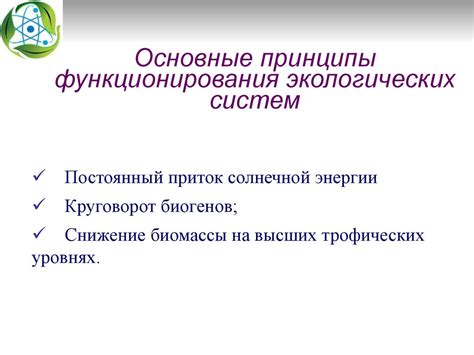  Принципы работы стандарта твин: понимание основного принципа функционирования 