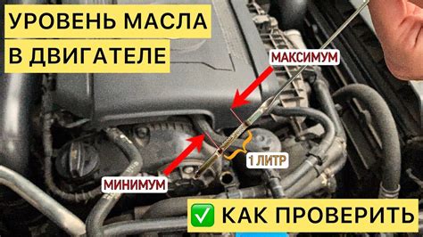  Проверка и изменение уровня конфиденциальности в социальной сети 