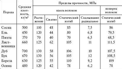  Проверка прочности дерева перед креплением: необходимые меры безопасности 