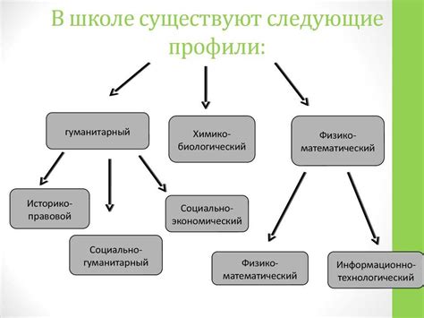  Профильные предметы: перечень дисциплин, подлежащих сдаче
