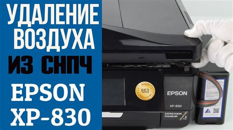  Раздел: Устранение воздуха из СНПЧ принтера Epson XP352: последовательность действий 