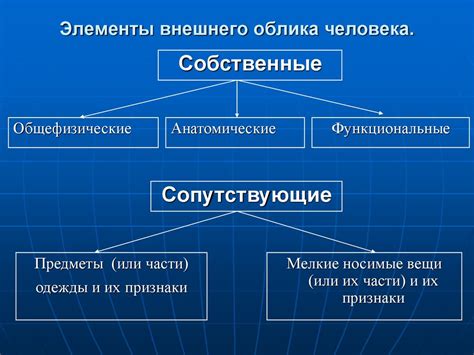  Различия внешнего облика
