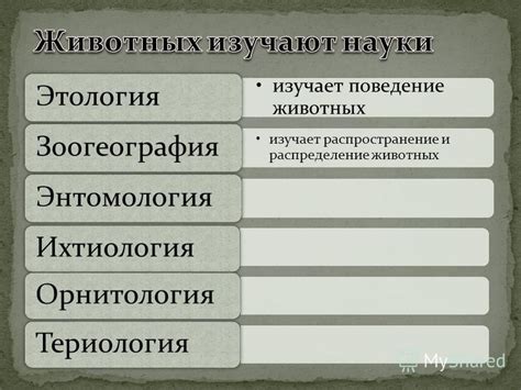  Распространение и распределение собственного праздничного календаря 