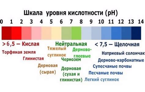  Регулирование уровня кислотности в выпечке 