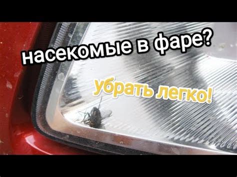  Регулярное и систематическое удаление насекомых
