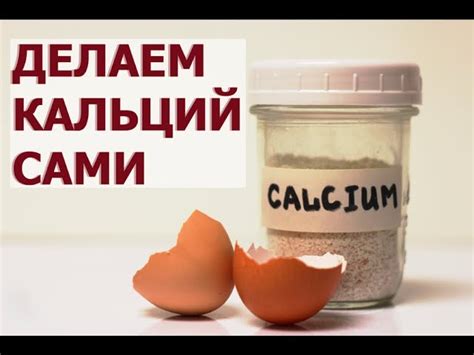  Рекомендации по сохранению и применению самодельного продукта из скорлупы