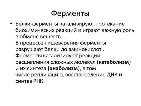  Роль белковых фабрик в регуляции биохимических процессов и обмене веществ 