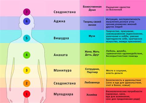  Роль диагностики чакр в сфере духовного и энергетического благополучия
