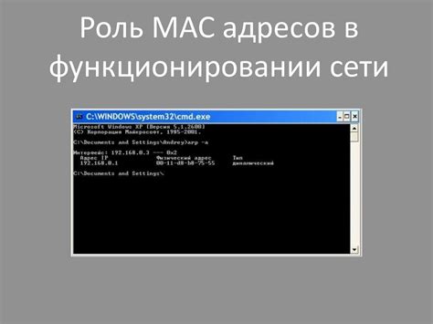  Роль и принцип работы MAC-адреса в сетевой коммуникации 