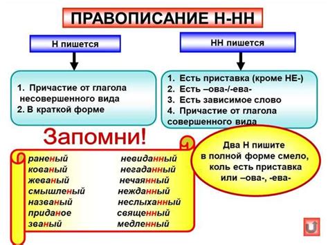  Слово "жилетка": с одной или двумя "л" 