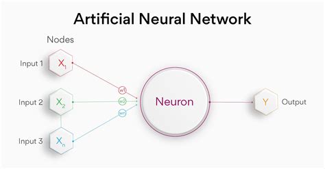  Сущность взвешенных связей и функций активации in artificial neural networks 