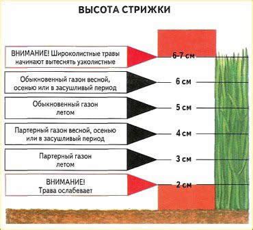  Уход за двором в зависимости от времени года: стрижка газона, обновление растений 