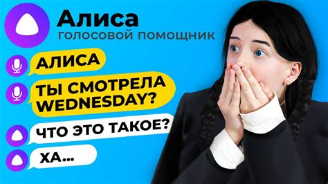  Что такое Алекса и Алиса и как они функционируют? 