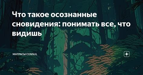  Что такое осознанные сновидения: определение и принципы 