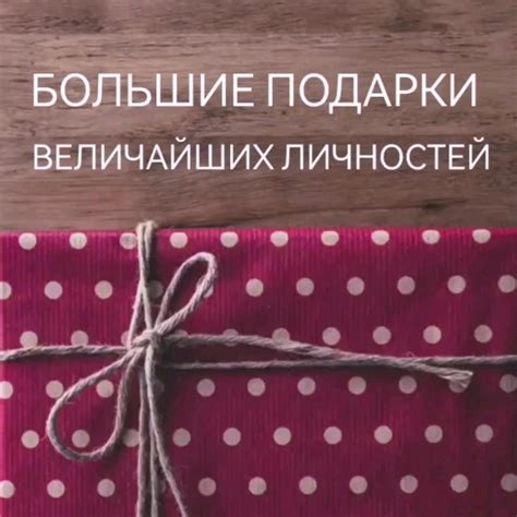 3 совета для безопасного и уверенного использования контейнера на домашнем питомце