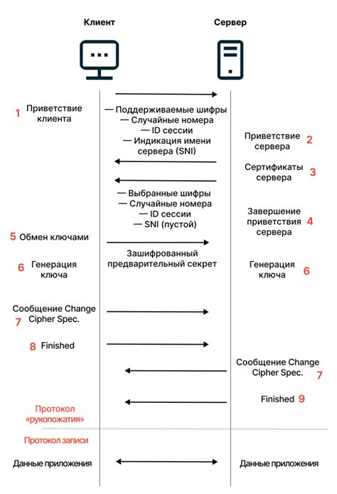 HTTP и HTTPS: различия и роль протоколов в современном мире